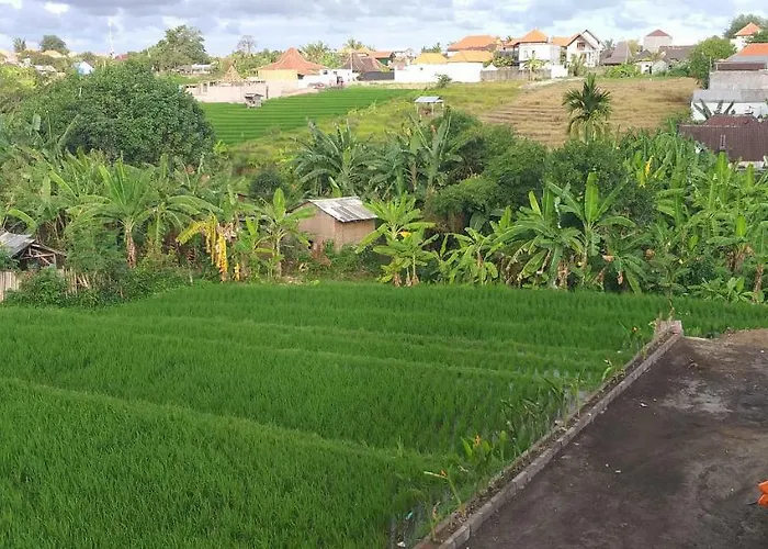 Pd Bali 3* Canggu